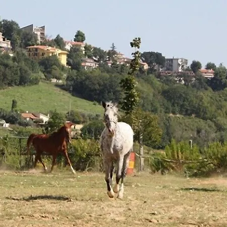 Vecchia Monta * Campofilone