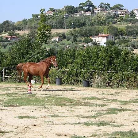 בית חווה Vecchia Monta Campofilone