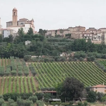 Vecchia Monta Campofilone