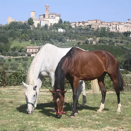 مزرعة للإقامة Agriturismo Vecchia Monta Campofilone